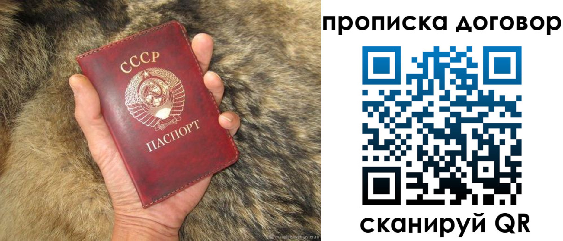 прописка регистрация в Старой Купавне